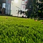 Yapay Çim Halı Uygulaması